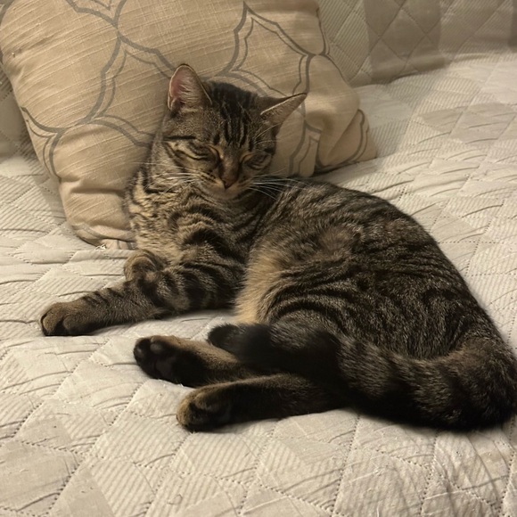 Hi, Iโm Raymond ๐ - Picture 6 of 17